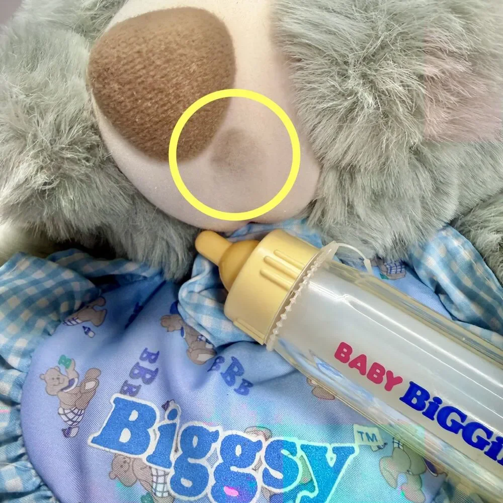 AmToy adorable biggsy